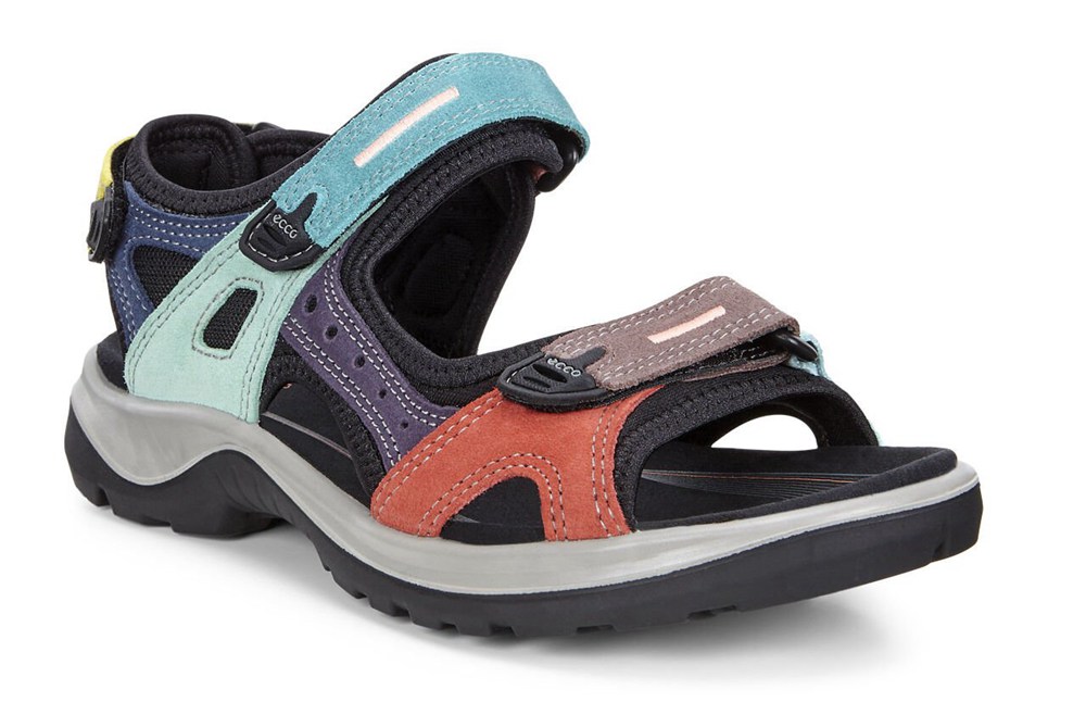 Sandalias Mujer - ECCO Anniversary - Multicolor - LUO174209